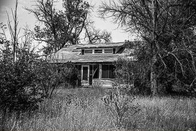Hereford-102.jpg