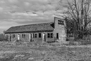 LastChancce-120.jpg