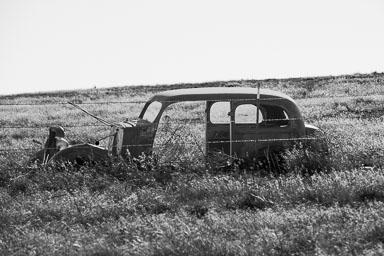 New-Raymer-123.jpg