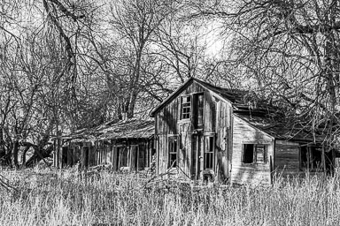 Orchard-128.jpg