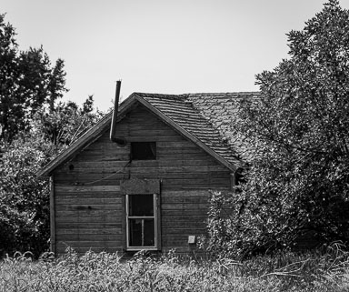 Snyder-124.jpg