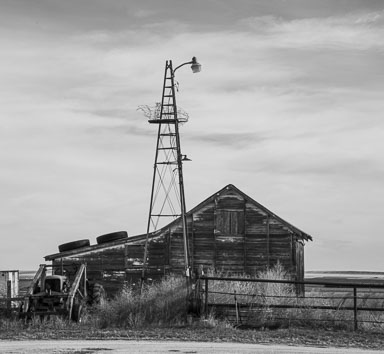 Woodrow-113.jpg