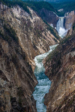 Yellowstone_2008_-1011.jpg