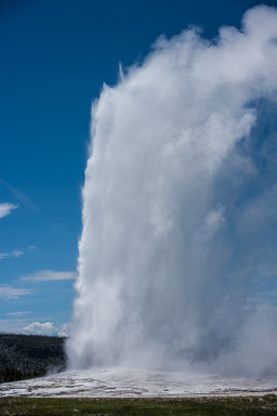 Yellowstone_2008_-1459.jpg