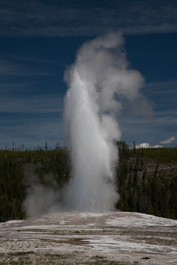 Yellowstone_2008_-1584.jpg