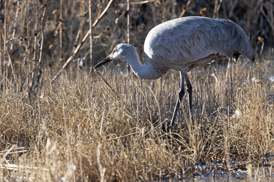 Bosque_Day1-323-Edit.jpg