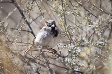 Bosque_Day1-517-Edit.jpg