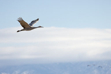 Bosque_Day2-960-Edit.jpg