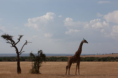 Africa_Roger__5314.jpg